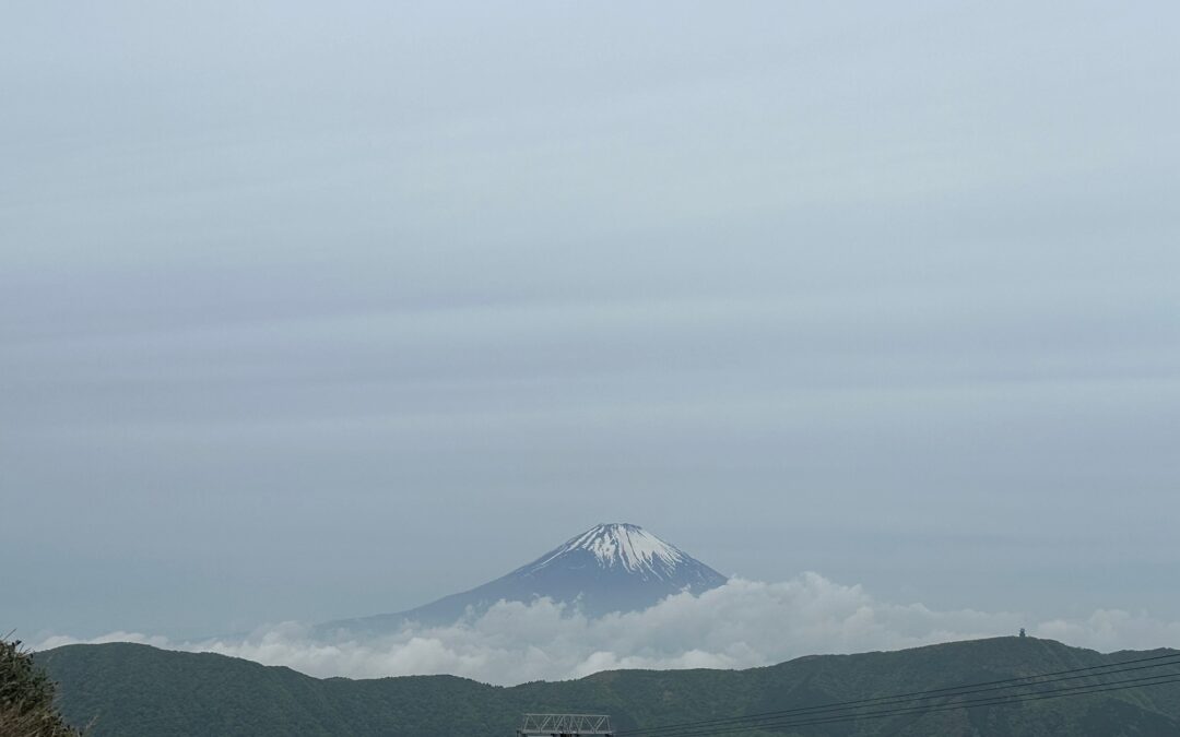 From Tokyo to Kyoto: Finding Inspiration in Japanese Architecture and Design