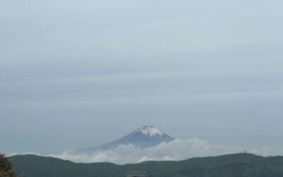 From Tokyo to Kyoto: Finding Inspiration in Japanese Architecture and Design